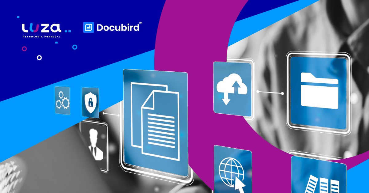 How Luza Tecnologia Portugal Helps to Elevate Docubird?